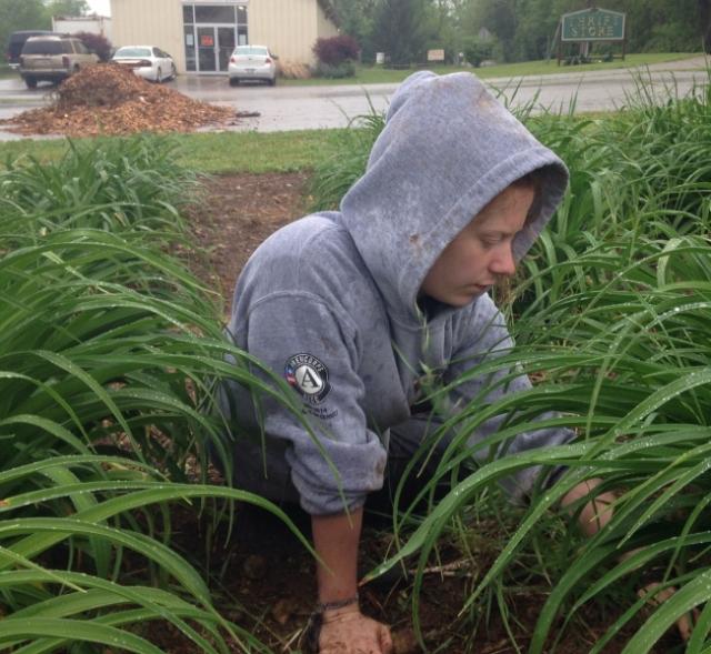 Article Thumbnail. Member Kate Hunter pulls weeds in One Way Farm's lily field.